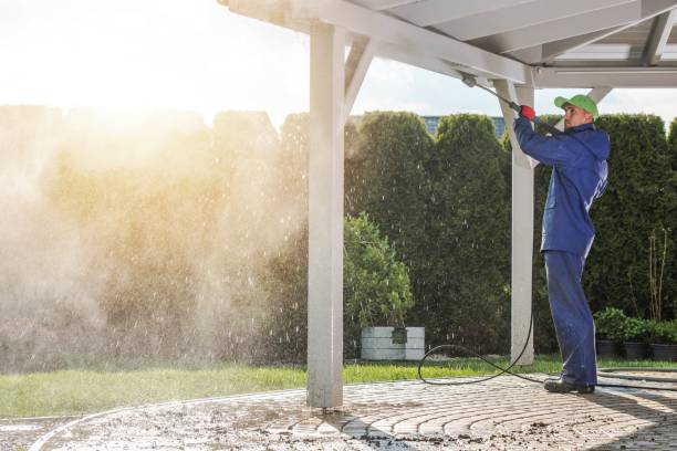 Best Animal Enclosure Cleaning  in Spicer, MN